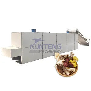 High Capacity Saffron Drying Machine Tea Drying Oven Vegetable Mesh Conveyor Chain Belt Dryer EPC thumbnail-1