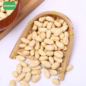 Processor Supply Clean Light Color Peeled Peanut Kernels 36/41 for Bakery Production thumbnail-2