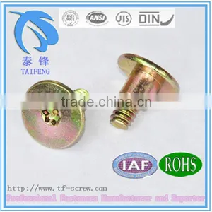 Flat Head Torx With Self Drilling Step Screw thumbnail-1