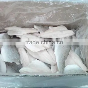 Frozen Seabass Fillet thumbnail-1