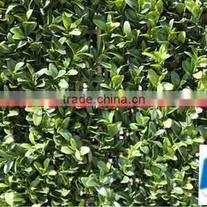 Wholesale Home Decoration Artificial Fence Wall thumbnail-3