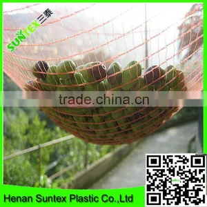 PE Plastic UV Treated Guard Hail Net for Grape Plantation thumbnail-1