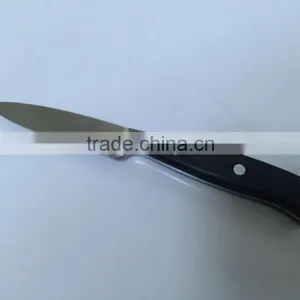 HomeLine Stainless Steel Fruit Knife With POM Handle thumbnail-1