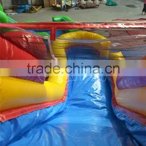 Commercial Grade Double Lane Inflatable Water Slide With Pool thumbnail-4