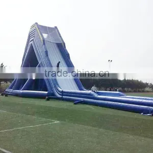 Custom Size Blue Long Giant Inflatable Water Slide for Sale thumbnail-2