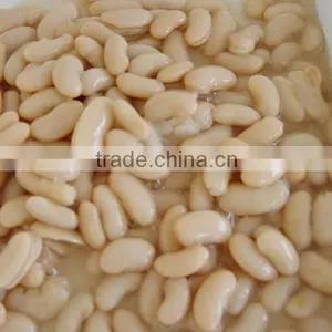 Pure Natural Organic Small White Kidney Beans thumbnail-2