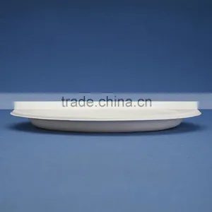 PL-09 Bleached 9 Inch Round Diposable Bagasse Paper Plates Quality Choice thumbnail-2