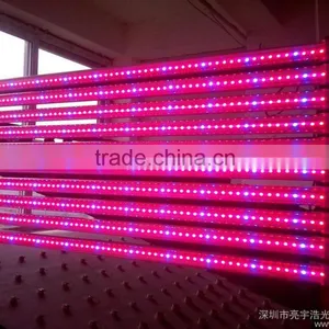 China Factory Project Light Led Solar Dusk to Dawn Flood Light 3 Years Warrranty With CE ROSH SAA UL Approval thumbnail-3
