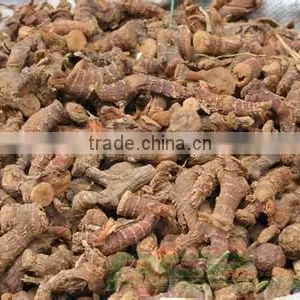 China Galangal Roots thumbnail-1