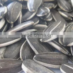 Sunflower Seeds Oil Seeds 5009/363/3638 thumbnail-3