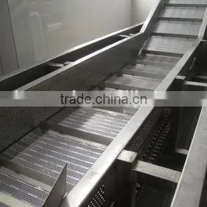 China Pickled Sushi Ginger Factory thumbnail-3