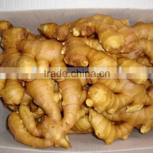2010 Crop Fresh Ginger thumbnail-1