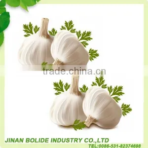 Fresh Normal White Garlic Whit Good Quality thumbnail-2