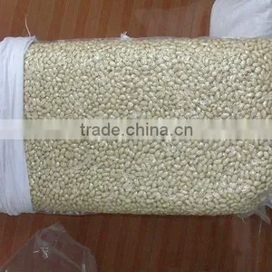 Blanched Groundnut Kernels thumbnail-1
