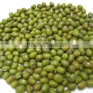 Competitive Price and Hot Split Green Mung Bean From Vietnam for Sale thumbnail-1