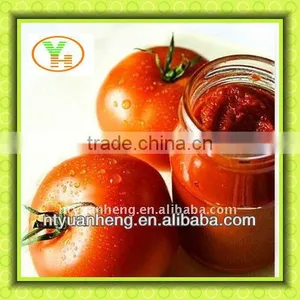 Canned Tomato Paste in the Bottle,usa Canned Food thumbnail-1