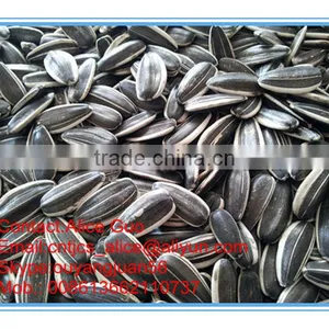 Different Types of Sunflower Seeds thumbnail-2