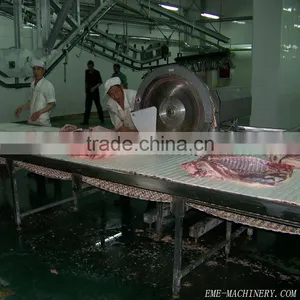 Pig Abattoir Equipment For Subsection Saw/Slaughterhosue Equipment thumbnail-4