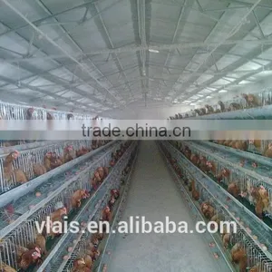Wholesale Small Animal Cages for Automatic Chicken Cage thumbnail-1