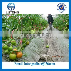 Green House Twine thumbnail-1