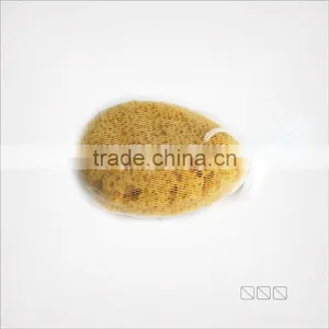Cleaning Sponge thumbnail-1