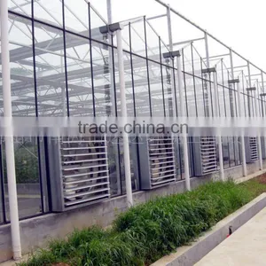 Auto Control Ventilation and Irrigation System Greenhouse thumbnail-1