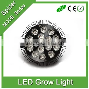 E27/E26 Par Led Grow Light Multi-Spectrum Hydroponics Plants Growing Lighting Indoor Graden Light thumbnail-6