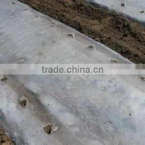 Agriculture Mulch Films ,perforated Clear Mulch Film (with 2 or 4 Holes) thumbnail-1