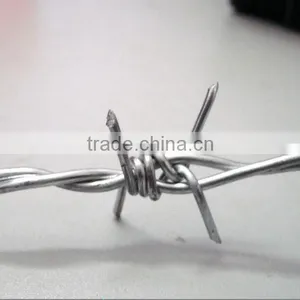 Barbed Wire no Middle Man thumbnail-1