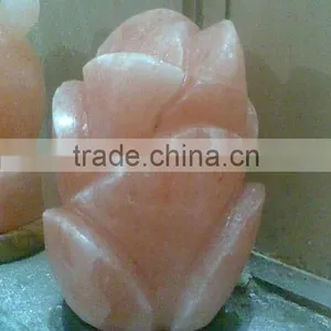 Salt Lamps From Himalaya thumbnail-2