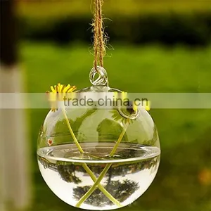 Acrylic Round Terrarium thumbnail-3