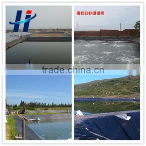 0.75mm Hdpe Geomembrane for Shrimp Farm Liner thumbnail-1
