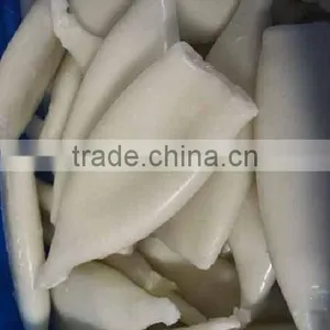 Frozen Squid Tube U10 thumbnail-3