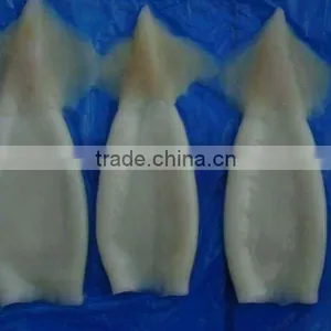 Frozen Squid Tube thumbnail-1