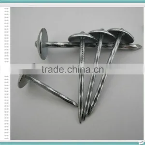 50 Jute Bag Roofing Nails thumbnail-3