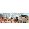 OEM Crazy Mouse Amusement Parks Roller Coasters and Playgound Equipment Slide thumbnail-1