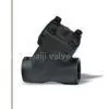 Forged Steel Y Type Swing Check Valve(sale@bjvalves.com) thumbnail-1
