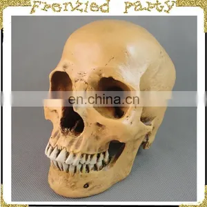 Wholesale Simulation Decorative Party Skull FGHS-0006 thumbnail-2