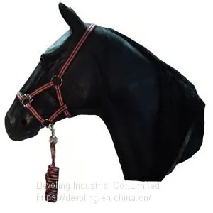 Horse Halter thumbnail-2