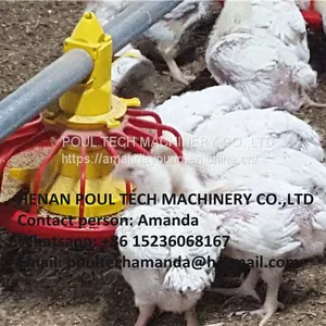 Libya Poultry Farm Equipment Automatic Broiler Floor Raising System & Chicken Deep Litter System With Automatic Drinking& Feeding System in Chicken Coop thumbnail-3