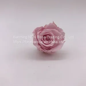 Preserved Rose for Wedding Festival Decoration thumbnail-1