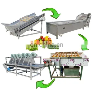 Date Washing Line Saudi Arabia Dates Cleaning Equipment Jujube Processing Sorting Machine thumbnail-1