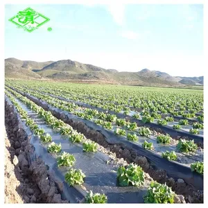 High Quality Blow Molding Plastic Agricultural Mulch Film Manufacturer thumbnail-4