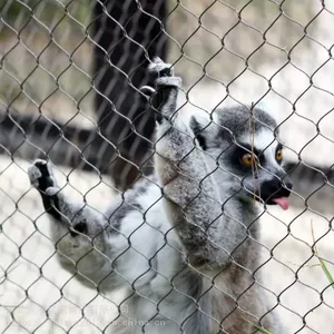 Flexible Stainless Steel Cable Wire Rope Mesh for Zoo Fence & Aviary Anti-Bird Netting thumbnail-5
