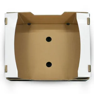 Corrugated Fruit Box for Avocado Printed Cardboard Packaging for Fresh Produce thumbnail-5