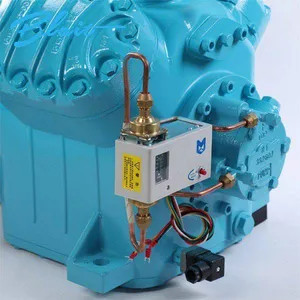 Pork Freezing Cold Storage, Borun Refrigeration Fruit and Vegetable Preservation Cold Storage Equipment, 20 hp 4vd - 20.2, Reliable and Worry - Free Cold Air Blower Cold Storage thumbnail-1