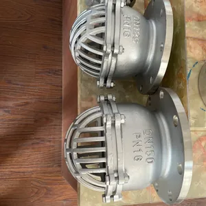 BS Standard PN10/16 DN40-DN400 Flange Stainless Steel 304 Foot/Bottom Valve With Stainless Steel Filter for Pump Check Valve thumbnail-5