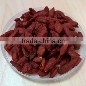 High Quality Goji Berry Tea thumbnail-4