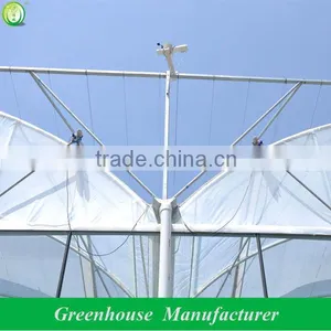 Economical Poly Greenhouse for Agriculture Used thumbnail-5