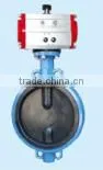 Lining Butterfly Vlave,worm Valve,valve thumbnail-2